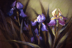 Christina Debarry iris garden
